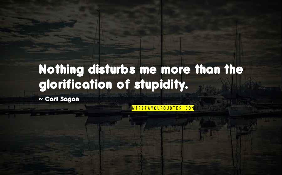 Annetje Bogert Quotes By Carl Sagan: Nothing disturbs me more than the glorification of