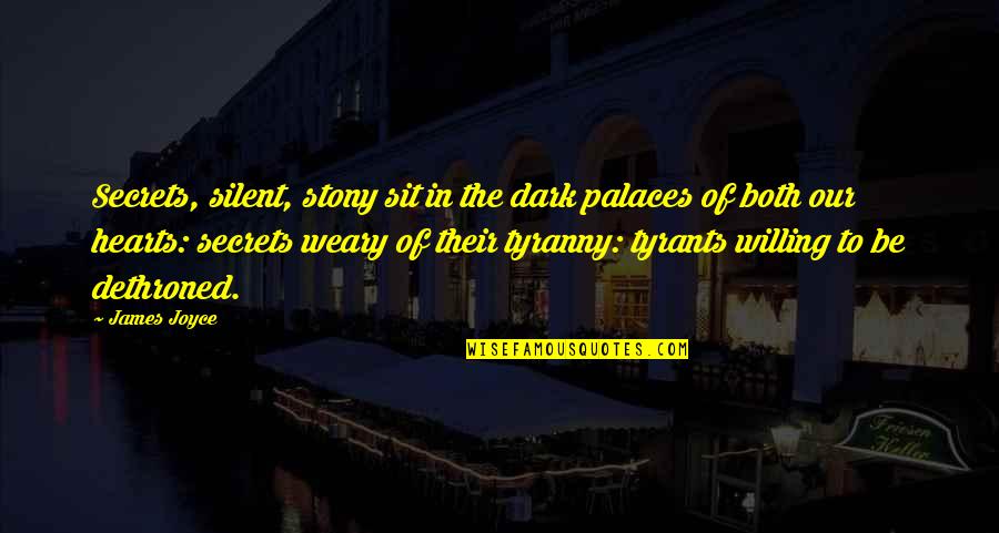 Annetje Bogert Quotes By James Joyce: Secrets, silent, stony sit in the dark palaces