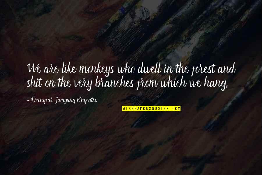 Anti Feminists Shirts Quotes By Dzongsar Jamyang Khyentse: We are like monkeys who dwell in the