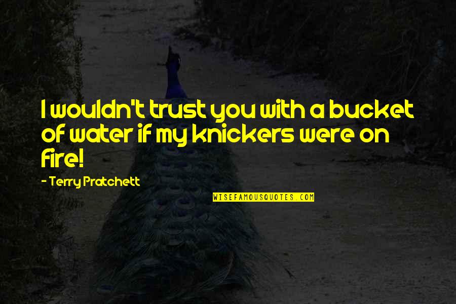 Antichristianism Quotes By Terry Pratchett: I wouldn't trust you with a bucket of