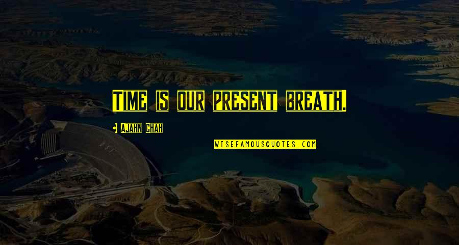 Apariciones En Quotes By Ajahn Chah: Time is our present breath.