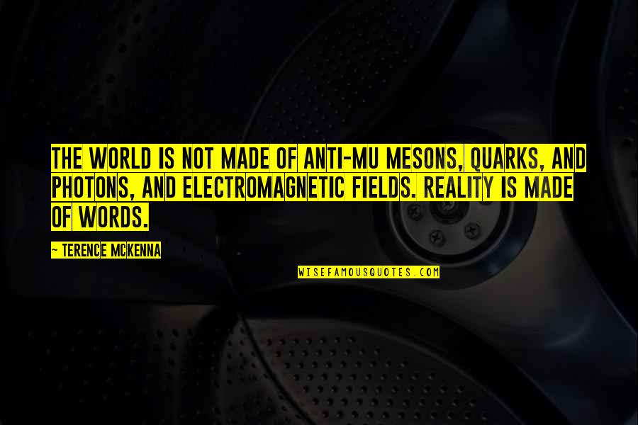 Apartemen Jakarta Quotes By Terence McKenna: The world is not made of anti-mu mesons,