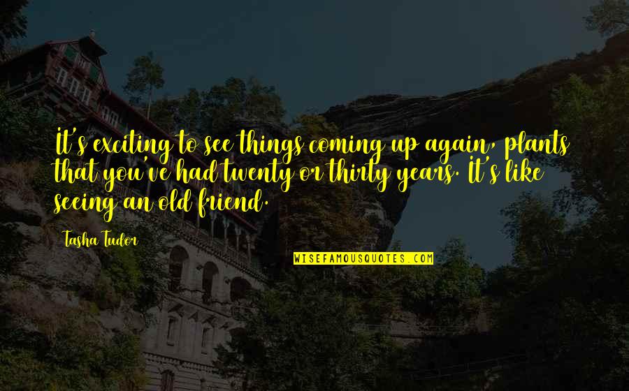 Apiarianism Quotes By Tasha Tudor: It's exciting to see things coming up again,