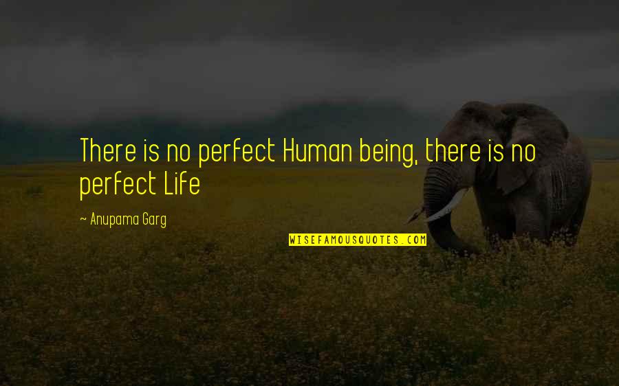 Apisai Domolailai Quotes By Anupama Garg: There is no perfect Human being, there is