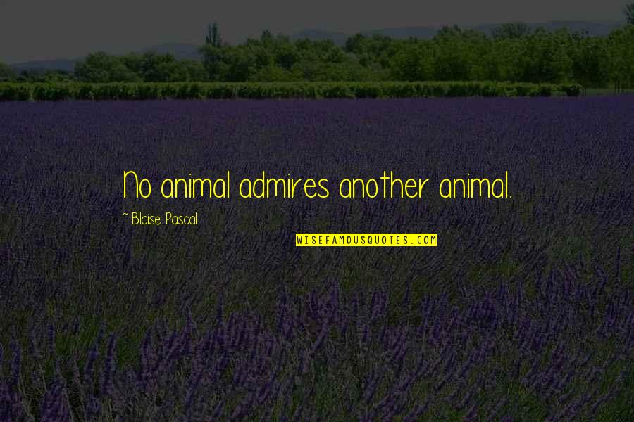 Apparis Jackets Quotes By Blaise Pascal: No animal admires another animal.