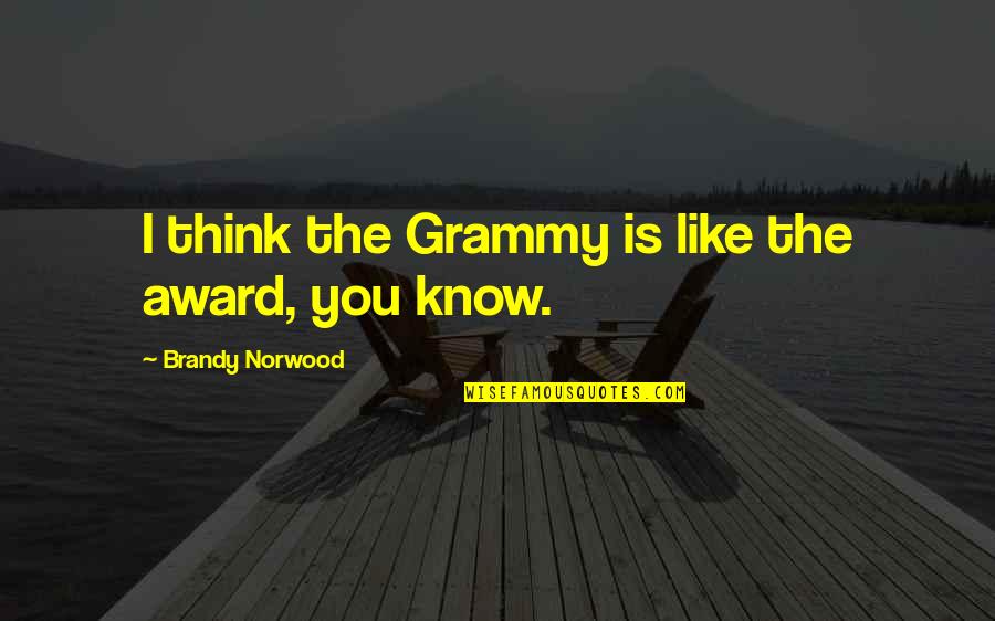 Aprirai Quotes By Brandy Norwood: I think the Grammy is like the award,