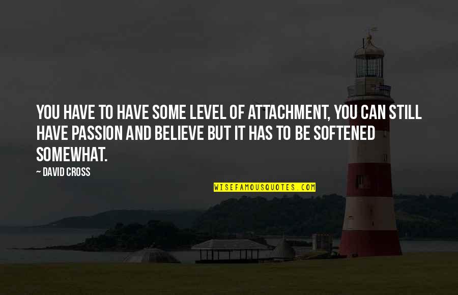 Apropied Quotes By David Cross: You have to have some level of attachment,