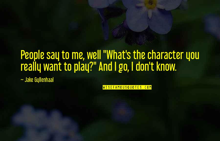 Aquacity Plan Quotes By Jake Gyllenhaal: People say to me, well "What's the character