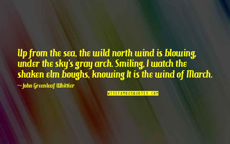 Arch's Quotes By John Greenleaf Whittier: Up from the sea, the wild north wind