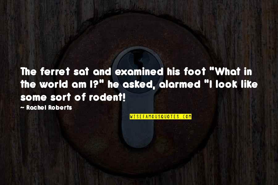 Arcosanti Quotes By Rachel Roberts: The ferret sat and examined his foot "What