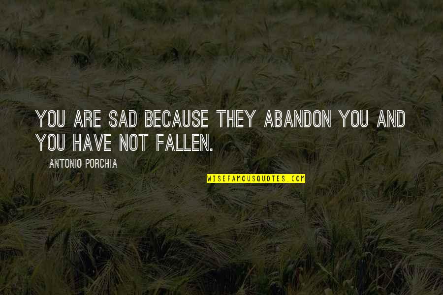 Are You Sad Quotes By Antonio Porchia: You are sad because they abandon you and