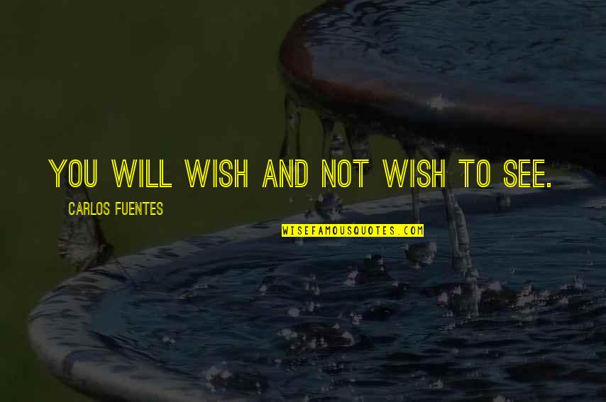 Areit Inc Quotes By Carlos Fuentes: You will wish and not wish to see.