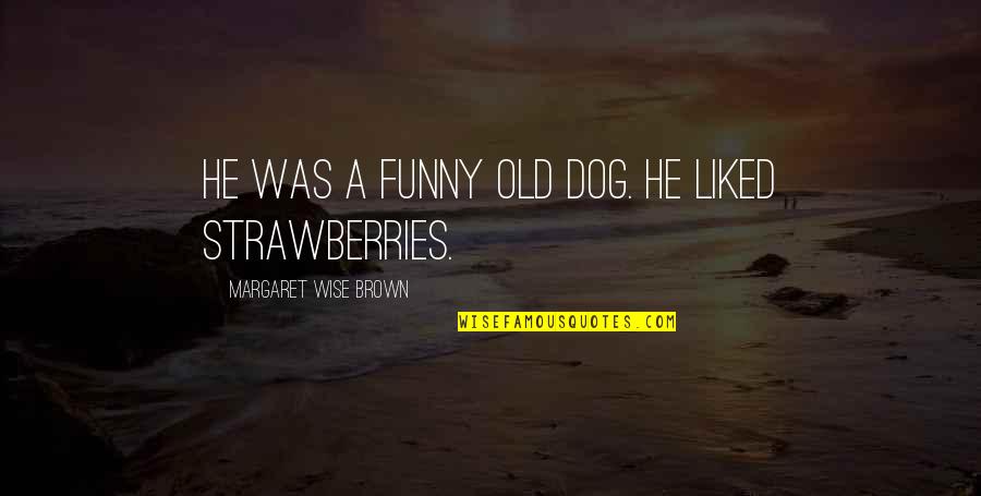 Argus Stock Quotes By Margaret Wise Brown: He was a funny old dog. He liked