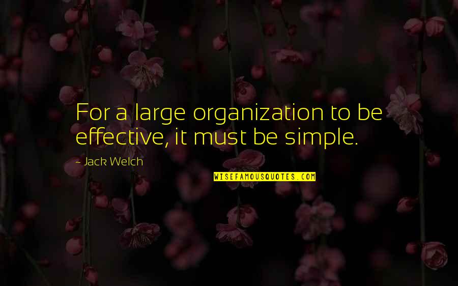 Armstrongs Pet Quotes By Jack Welch: For a large organization to be effective, it