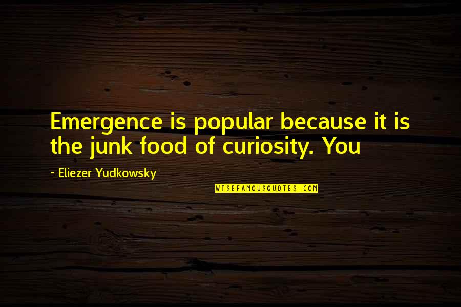 Art Matisse Quotes By Eliezer Yudkowsky: Emergence is popular because it is the junk