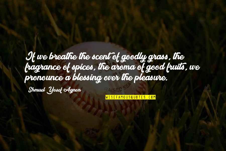 Arzhang Pezhman Quotes By Shmuel Yosef Agnon: If we breathe the scent of goodly grass,