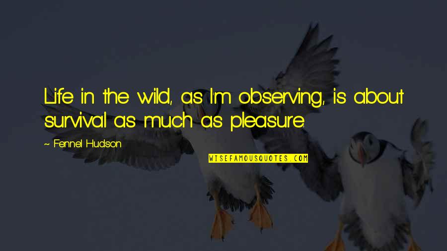 Ashley Katchadourian Quotes By Fennel Hudson: Life in the wild, as I'm observing, is