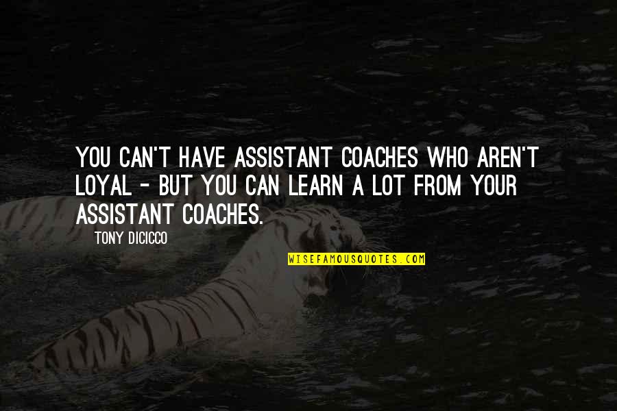 Assistant Quotes By Tony DiCicco: You can't have assistant coaches who aren't loyal