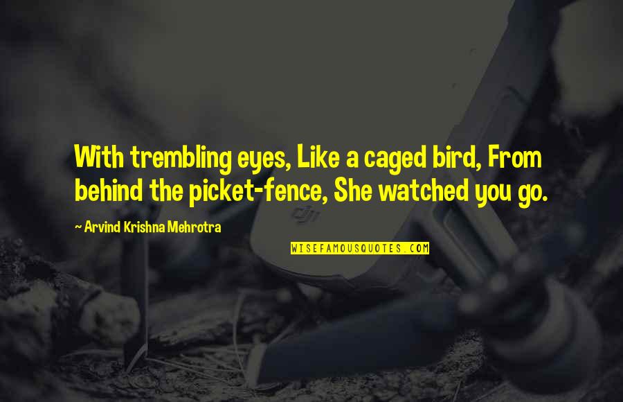At The Picket Fence Quotes By Arvind Krishna Mehrotra: With trembling eyes, Like a caged bird, From