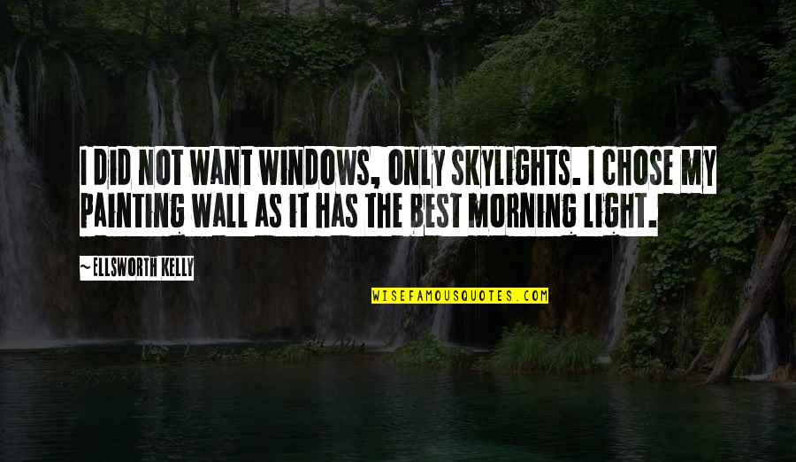 Attitude Hindi Quotes By Ellsworth Kelly: I did not want windows, only skylights. I