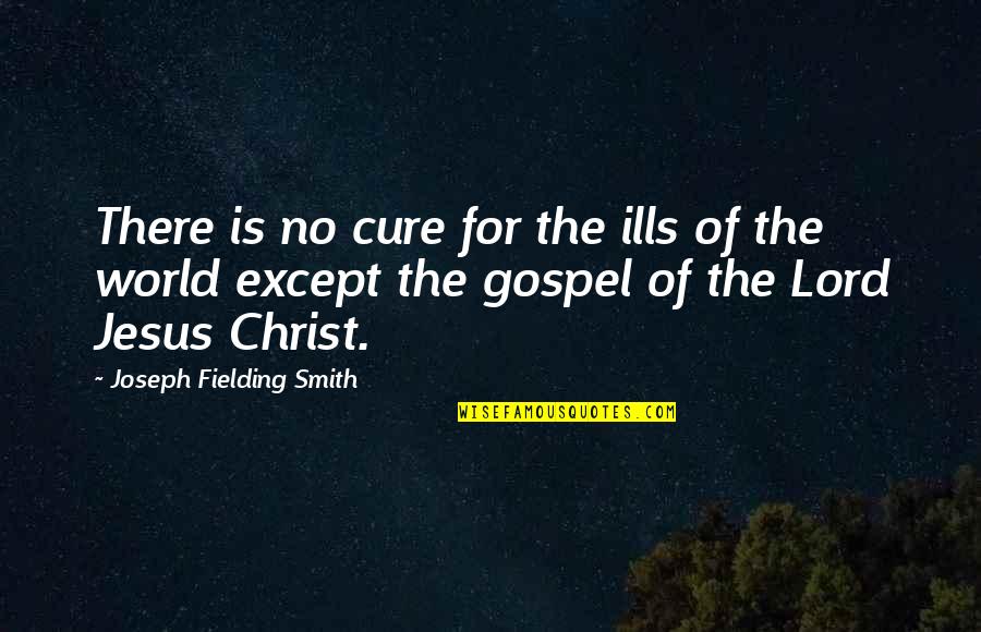 Augusta Jane Evans Quotes By Joseph Fielding Smith: There is no cure for the ills of