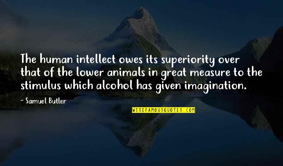 Autobiografia De Benito Quotes By Samuel Butler: The human intellect owes its superiority over that