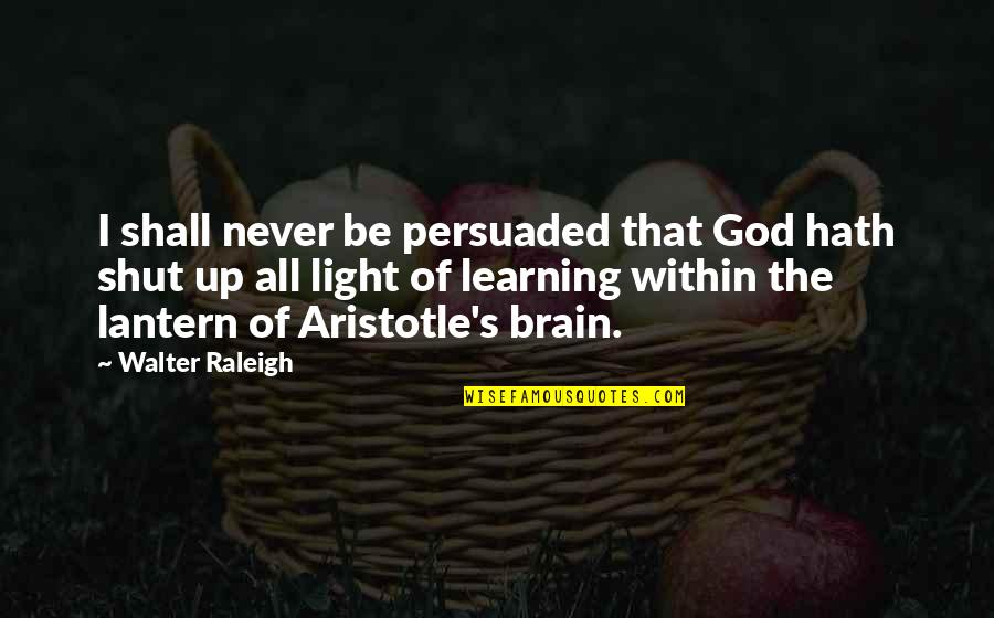 Autobiography Ending Quotes By Walter Raleigh: I shall never be persuaded that God hath