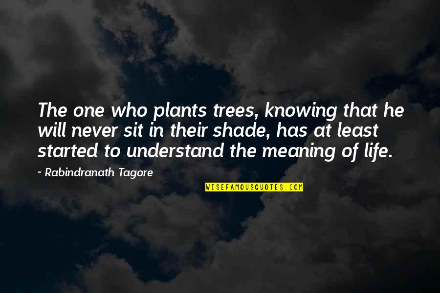 Avaho Quotes By Rabindranath Tagore: The one who plants trees, knowing that he