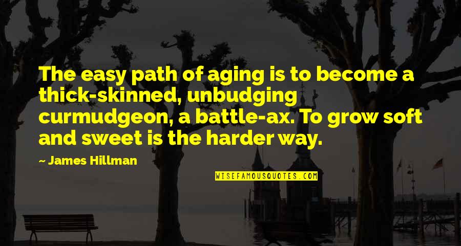 Ax Quotes By James Hillman: The easy path of aging is to become