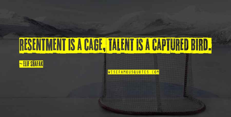 Aydemir Akbas Quotes By Elif Shafak: Resentment is a cage, talent is a captured