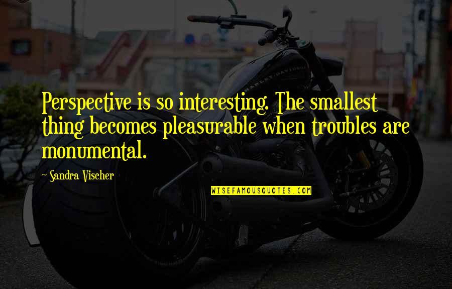 Aylak Nedir Quotes By Sandra Vischer: Perspective is so interesting. The smallest thing becomes