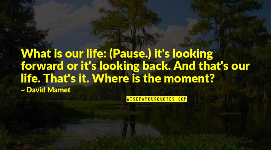 Azande Witch Quotes By David Mamet: What is our life: (Pause.) it's looking forward