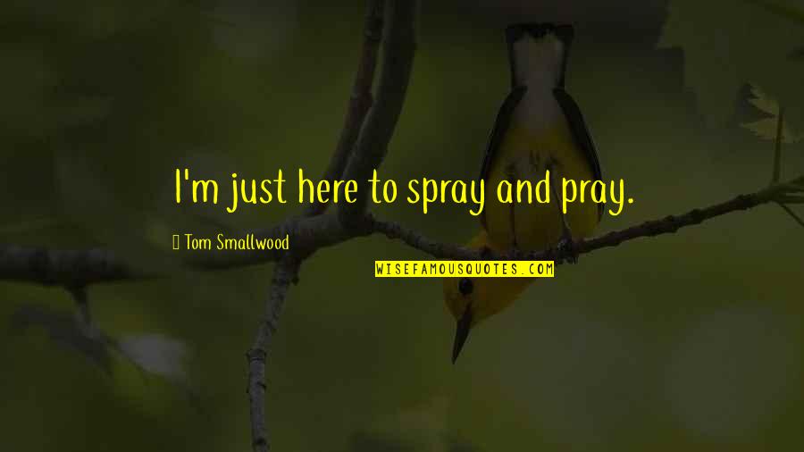 Baby In Whom Quotes By Tom Smallwood: I'm just here to spray and pray.