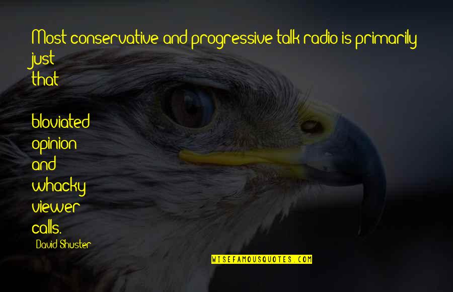 Baixinho Roludo Quotes By David Shuster: Most conservative and progressive talk radio is primarily