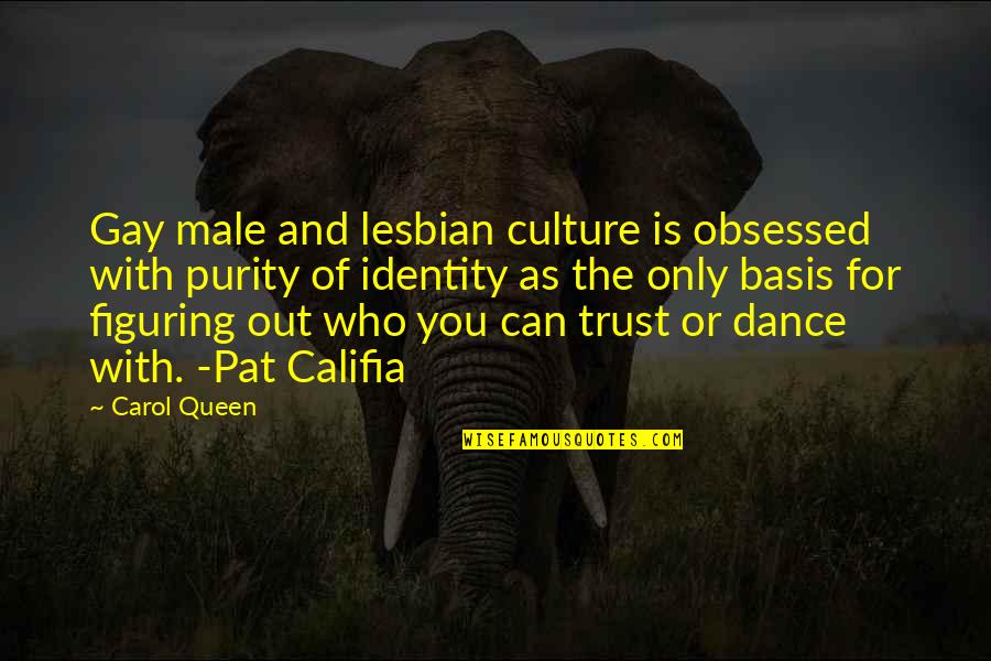 Bajusz Quotes By Carol Queen: Gay male and lesbian culture is obsessed with