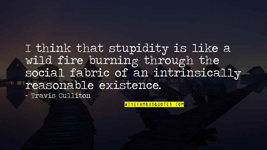 Bakeshop Quotes By Travis Culliton: I think that stupidity is like a wild