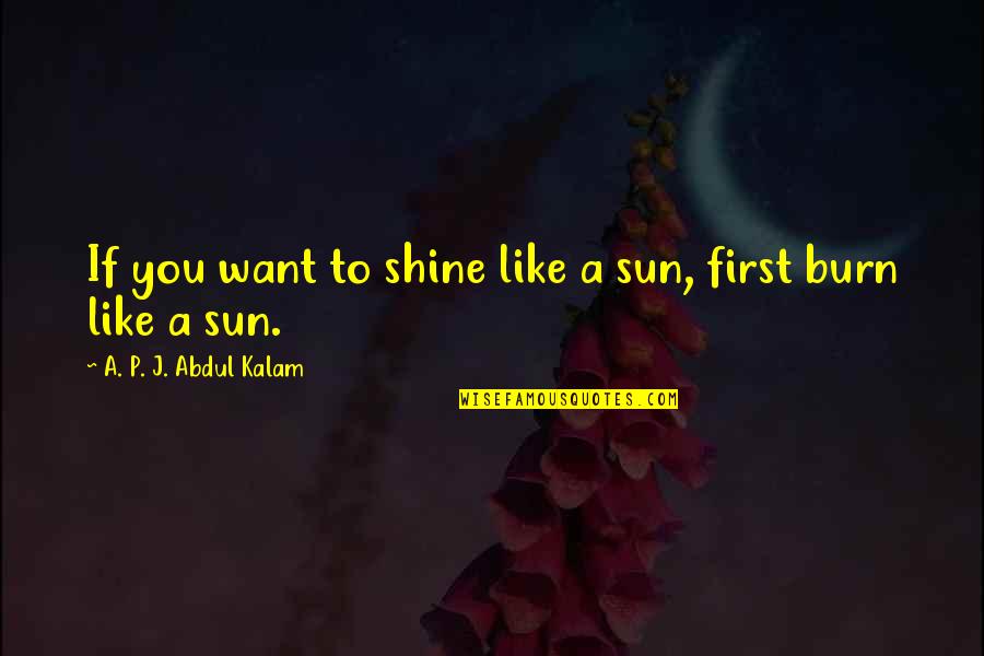 Balancing Act Quotes By A. P. J. Abdul Kalam: If you want to shine like a sun,