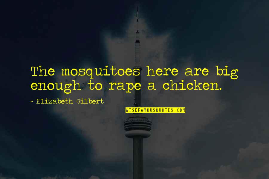 Baller Alert Quotes By Elizabeth Gilbert: The mosquitoes here are big enough to rape