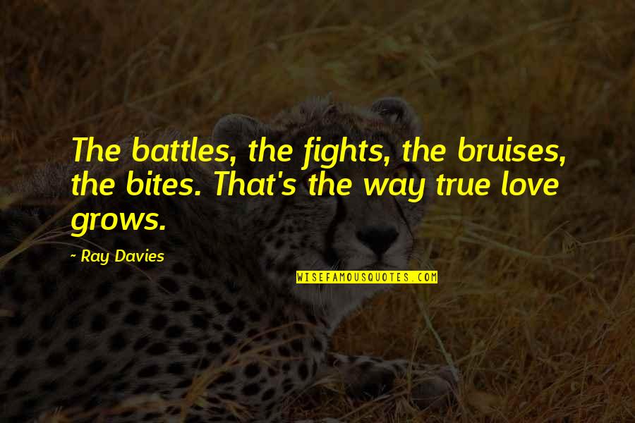 Ballot Or The Bullet Malcolm X Quotes By Ray Davies: The battles, the fights, the bruises, the bites.