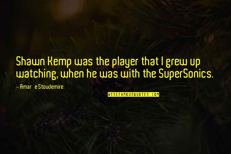 Bandages For Dogs Quotes By Amar'e Stoudemire: Shawn Kemp was the player that I grew