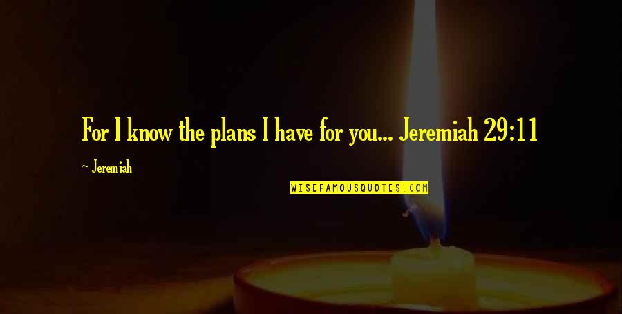 Banderas De Paises Quotes By Jeremiah: For I know the plans I have for