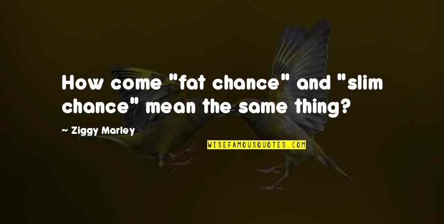 Banlieues Quotes By Ziggy Marley: How come "fat chance" and "slim chance" mean