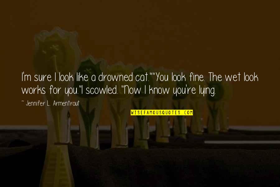 Barangay Chairman Quotes By Jennifer L. Armentrout: I'm sure I look like a drowned cat.""You