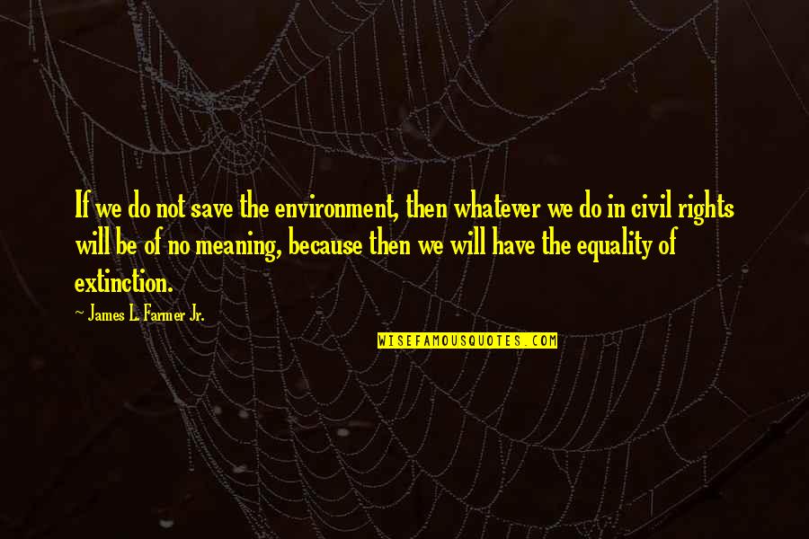 Baranyi Lajos Quotes By James L. Farmer Jr.: If we do not save the environment, then