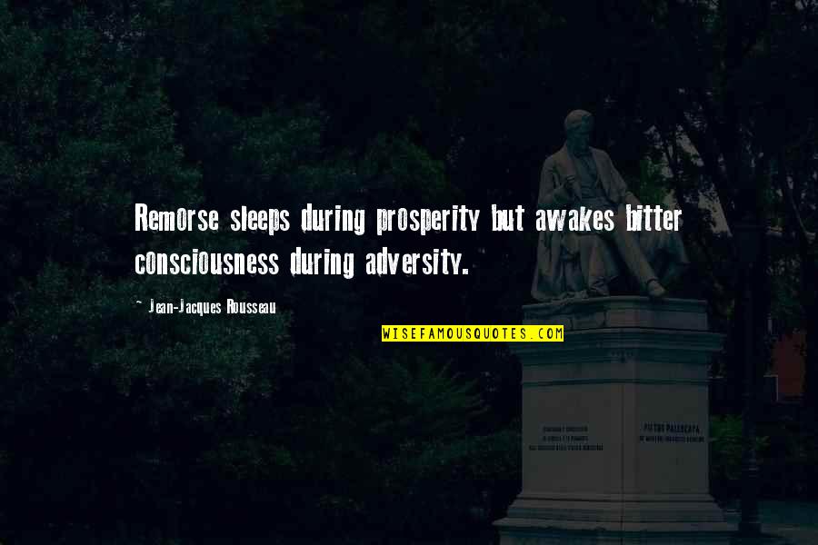 Barbara Applebaum Quotes By Jean-Jacques Rousseau: Remorse sleeps during prosperity but awakes bitter consciousness