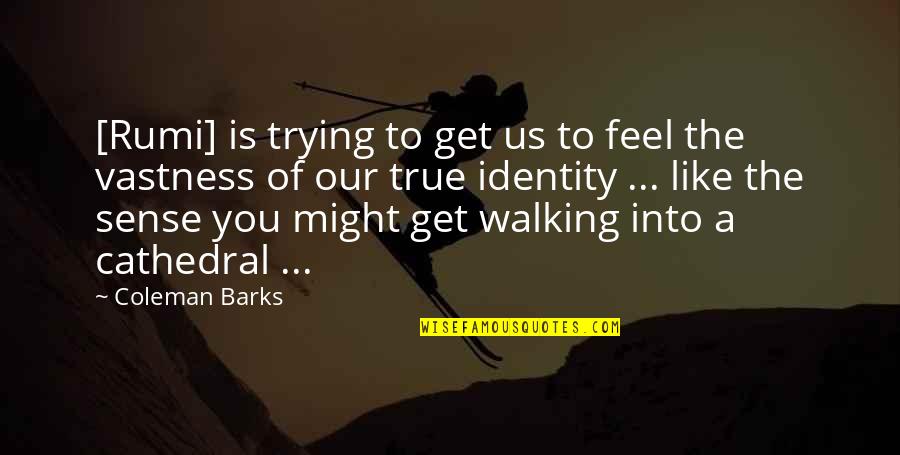 Barks Rumi Quotes By Coleman Barks: [Rumi] is trying to get us to feel