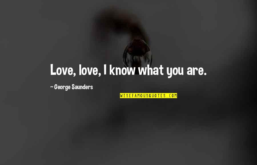 Barnhisel Peter Quotes By George Saunders: Love, love, I know what you are.