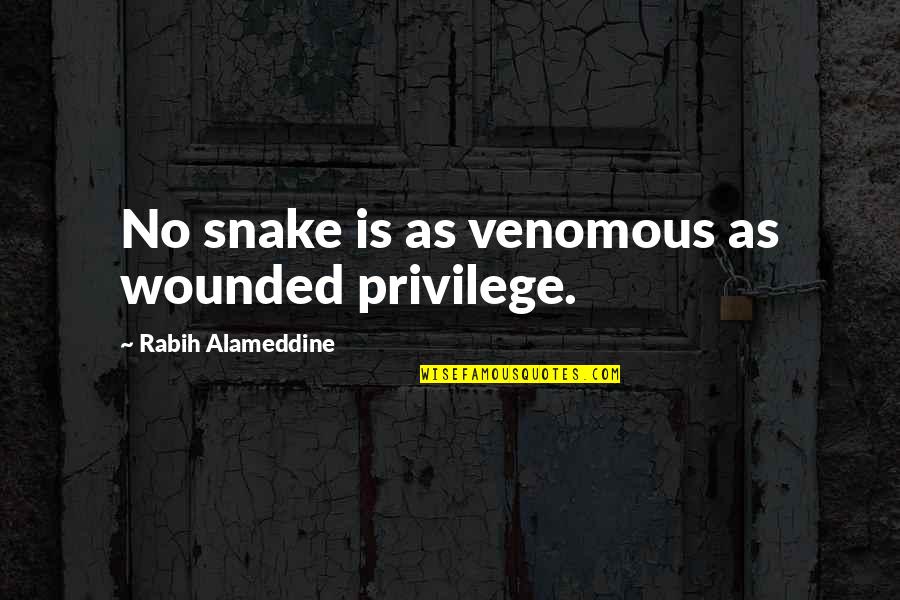 Barstool Quotes By Rabih Alameddine: No snake is as venomous as wounded privilege.