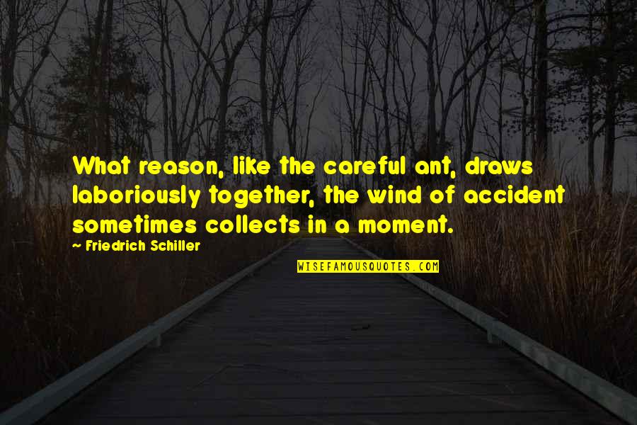 Basmele Culte Quotes By Friedrich Schiller: What reason, like the careful ant, draws laboriously