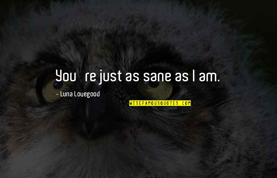 Basquiat Movie Quotes By Luna Lovegood: You're just as sane as I am.